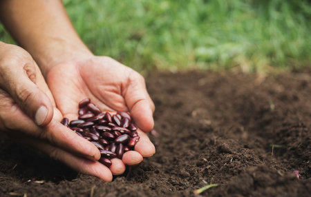 Gardener applying fertilizer plant food to soil for vegetable garden. Agriculture industry, development, economy and Investment growth concept.の写真素材