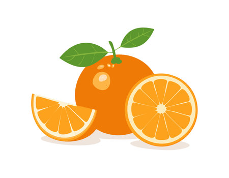 Set of oranges fruit and piece of orange isolated with backgroundのイラスト素材