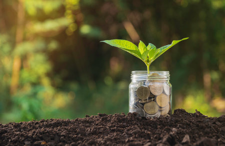 Coins in glass and green plant for business and tax season on a blur background.