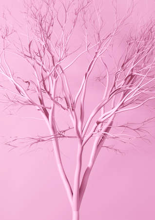 3d rendering, Mockup premium poster Pink Dry Tree Branches scene Images, Abstract background for...