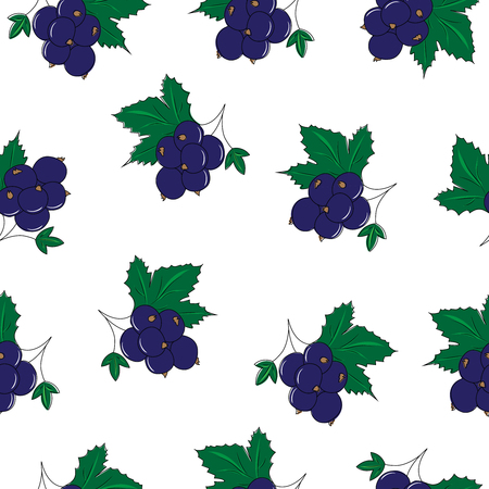 Seamless Pattern of Blackcurrant, Hand Drawn Berry Pattern, Vector Illustrationのイラスト素材