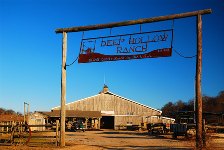 Deep Hollow Ranch, Montauk, NYのeditorial素材