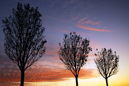 Late Autumn Sunsetの写真素材