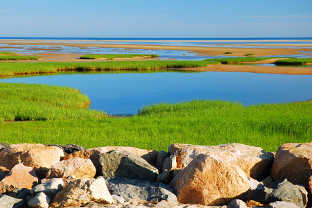 Paines State Park, Cape Codの写真素材