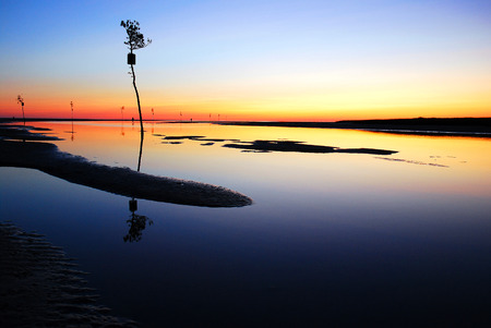 Sunset Orleans Harbor, Cape Codの写真素材