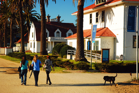 A Walk in the Presidio in San Franciscoのeditorial素材