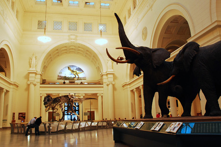 The Main Room of the Field Museum of Natural History in Chicagoのeditorial素材