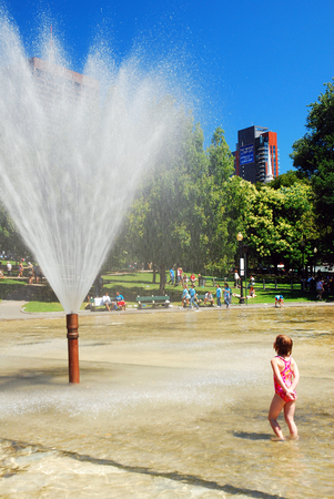 Enjoying a Summer Day at the Frog Pond, Boston Commonの写真素材