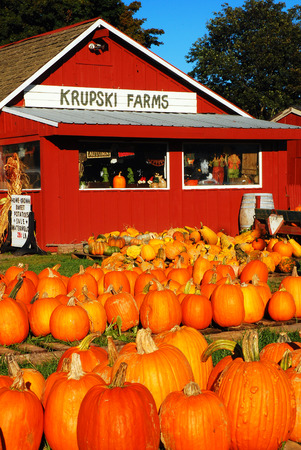 A farmstand showing a bounty of pumpkinsのeditorial素材