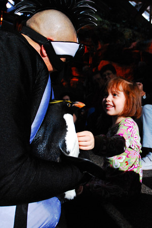 Penguin Demonstration, Shedd Aquarium, Chicagoのeditorial素材