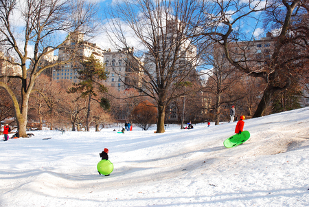 Urban Children sledding on Pilgrim Hill in New York's Central Parkのeditorial素材