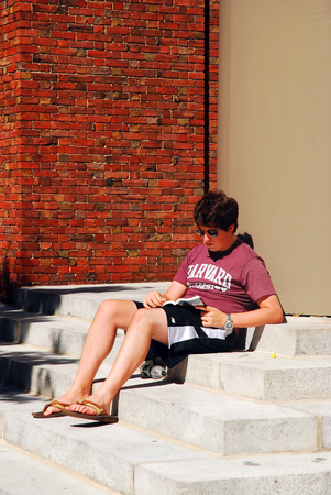 Harvard University Student Studying on the steps of the Memorial Chapelのeditorial素材