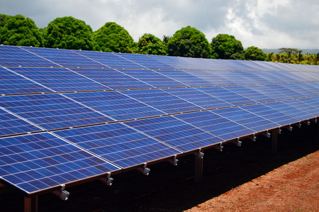 Solar Panels Power a Large Plantationの写真素材