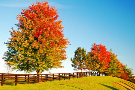 A Country Autumnの写真素材