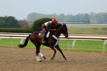 horse racingのeditorial素材