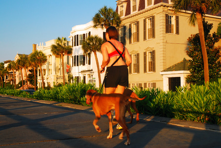 High End Homes on East Battery, Charlestonのeditorial素材