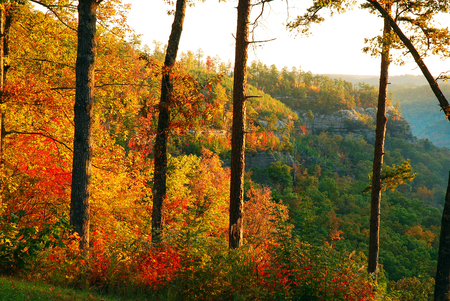 The Red River Gorge in Kentucky displays a vibrant hue of fall foliageの写真素材