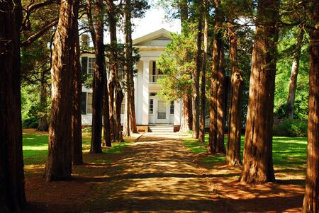 A tree lined path leads to Rowan Oak, William Faulkner's home in Oxford, Mississippiのeditorial素材