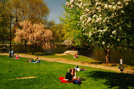 People enjoy relaxing on the lawn of Boston Common on a beautiful sunny dayのeditorial素材
