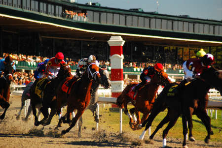 Horses round the first bend at Keeneland Race Trackのeditorial素材
