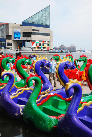 Paddle boats with a dragon design sit at the edge of Inner Harbor, Baltimoreのeditorial素材