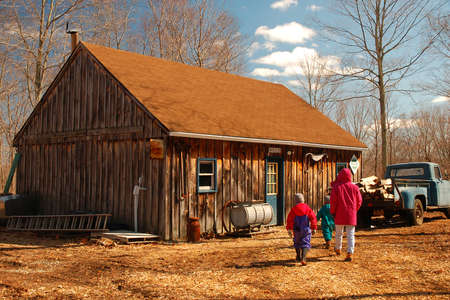 A family approaches a rustic sugar shack in New England, learning how maple sap is turned into syrupのeditorial素材
