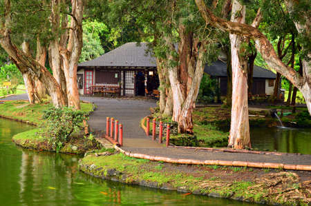 A modest Japanese style Dwelling sits serenly in Hawaiiのeditorial素材