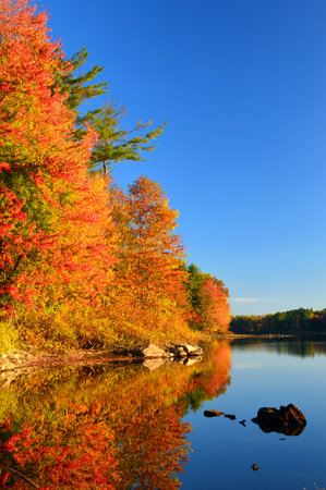 Autumn reflections on a clear day on a lake in New Englandの写真素材