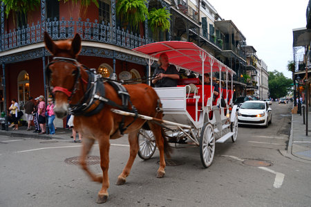 A horse drwan carriage takes visitors through the French Quarter of New Orleansのeditorial素材