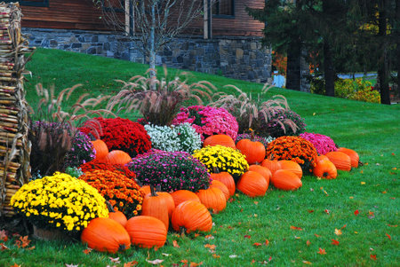 An autumn display in New Englandの写真素材