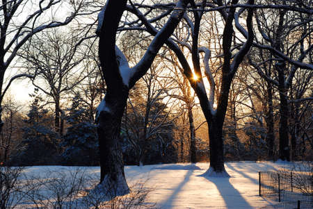 A Winter Sunrise in Central Parkの写真素材