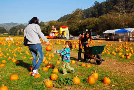 A family spends a fun autumn day pickling pumpkins in Half Moon Bay, Californiaのeditorial素材