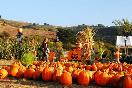 An adult woman searches for the perfect Halloween pumpkin in Half Moon Bay, Californiaのeditorial素材