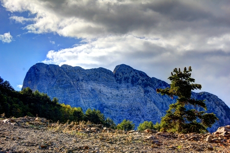 kaya kafaの写真素材