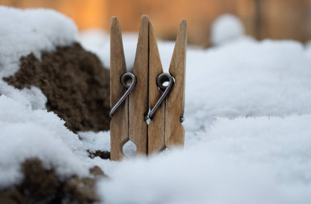 Two wooden clothespins on snow, winter,on the background white snow