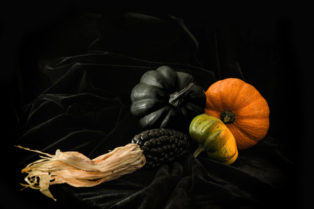 pumpkin orange and ear of corn on a black backgroundの写真素材