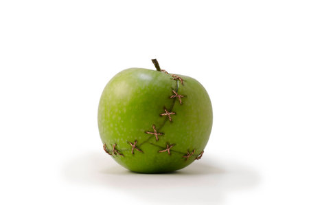 The green apple stitched with a copper wireの写真素材