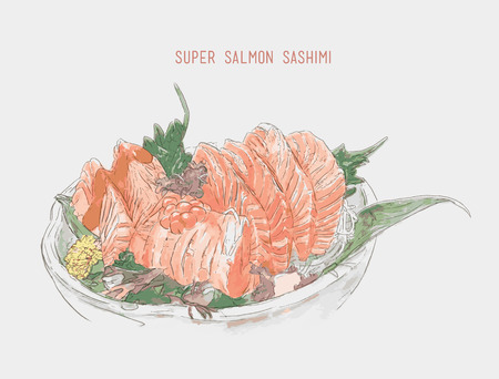 Salmon sashimi Sketch watercolor vector. Hand drawn illustration .のイラスト素材