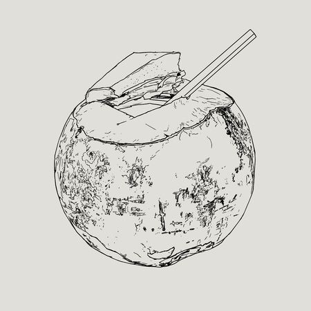 Coconut Water Drink, Green coconut vector. hand drawn sketch line art highly detail.のイラスト素材