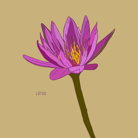 Vector Set Of Hand Drawn Lotus Flowers Sketch Style Vector