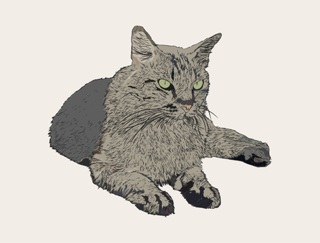 sitting cat , hand draw sketch vector.のイラスト素材