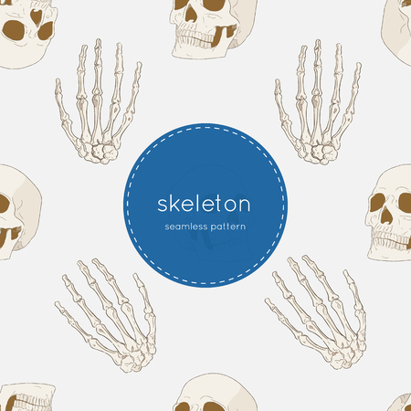 Vector seamless pattern of human skeletonのイラスト素材