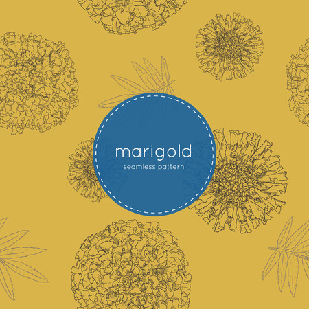 Vector seamless pattern of Mexican holiday "Day of the Dead". The illustration with traditional marigold flowers.のイラスト素材