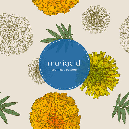 Vector seamless pattern of Mexican holiday "Day of the Dead". The illustration with traditional marigold flowers.のイラスト素材