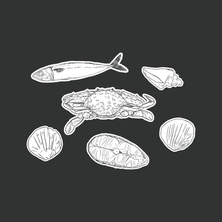 set of seafood , sea animal isolated vector. Vector engraving illustration of highly detailed hand drawn seafood.のイラスト素材
