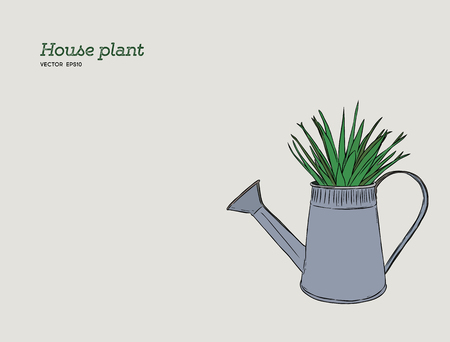 house plant in pot, hand draw sketch vector.のイラスト素材