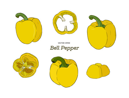 Pepper hand drawn vector set. Vegetable engraved style object, full, half and slices. Isolated bell pepper. Detailed vegetarian food drawing. Farm market product. Paprika iconのイラスト素材