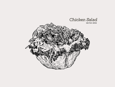 chicken salad Salad in a Tortilla Bowl with creamy garlic dressing
, hand draw sketch vector.のイラスト素材