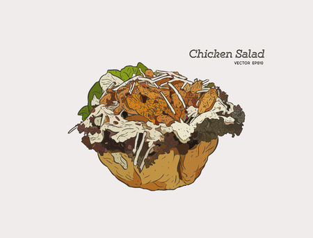 chicken salad Salad in a Tortilla Bowl with creamy garlic dressing
, hand draw sketch vector.のイラスト素材