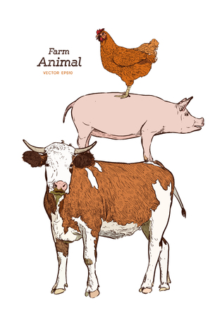 Farm animals. Isolated Vintage vector set . Cow, pig and chickenのイラスト素材